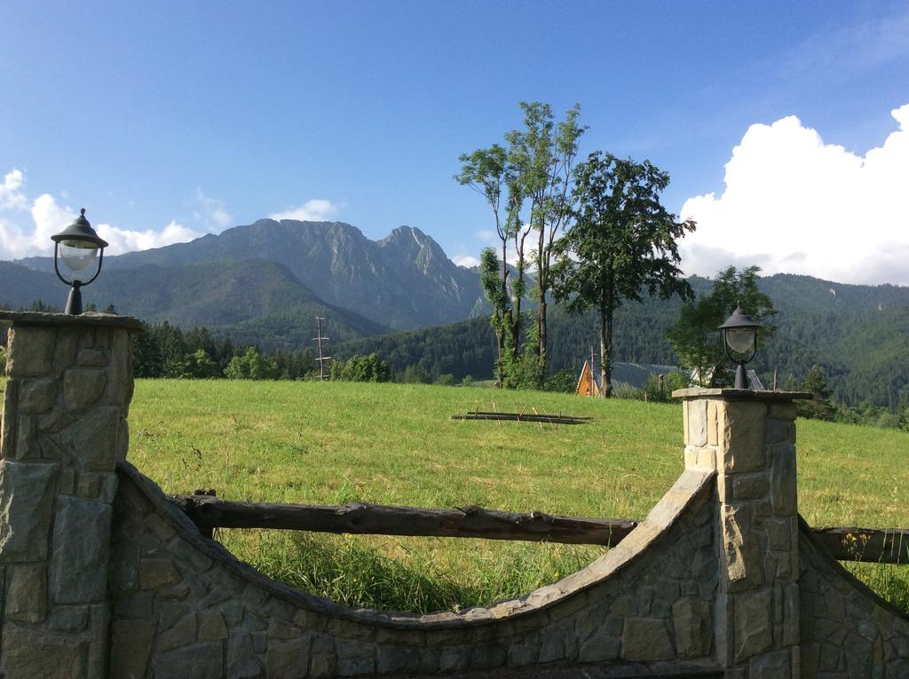 Apolonia Willa Zakopane Exterior photo